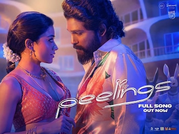 allu-arjun-rashmika-mandanna-pushpa-2-peelings-