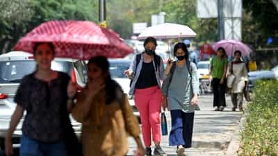 Weather Update: Sunny Day in Haryana with Poor Air Quality