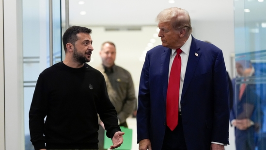 Zelenskyy Critiques Trump’s Election Suggestion Amid War