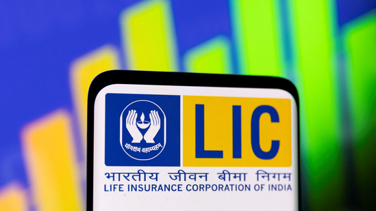 LIC Pushes for 100-Year Government Bonds to Enhance Insurance Stability