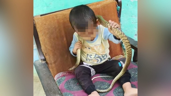 Shocking Video of Toddler Fearlessly Playing with Snake Goes Viral