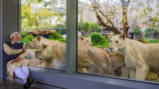 rime Minister Narendra Modi looks at lions through 1741345502743