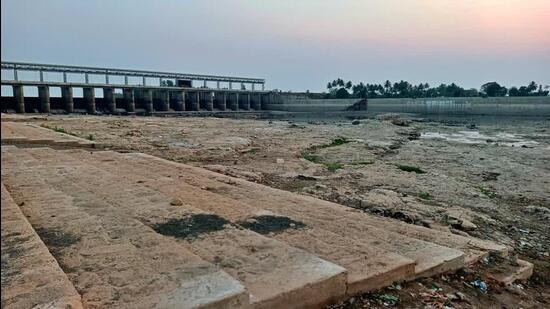 Krishna River Drying: Urgent Plea for Water Support from Maharashtra