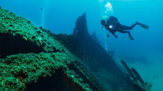 UK Man Buys WWII Shipwreck for ₹34,000—Find Out Why