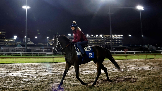 Get Ready for Kentucky Derby 2025: Excitement and Surprises Await!