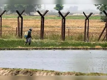 Farmers on the Jammu Border Rush to Harvest Amid Rising Tensions
